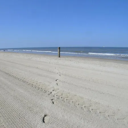 Chalet Bonanza - Texel *